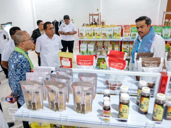 Puji Ide NTT Mart, Menteri UMKM Siap Bantu Sinergi Program dengan Pusat