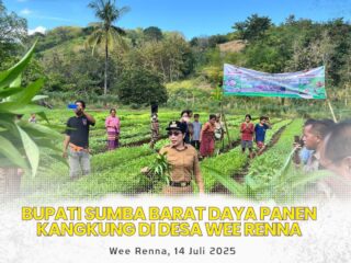 Bupati Sumba Barat Daya Ikut Panen Kangkung di Wee Renna Dukung Ketahanan Pangan Berbasis Komunitas