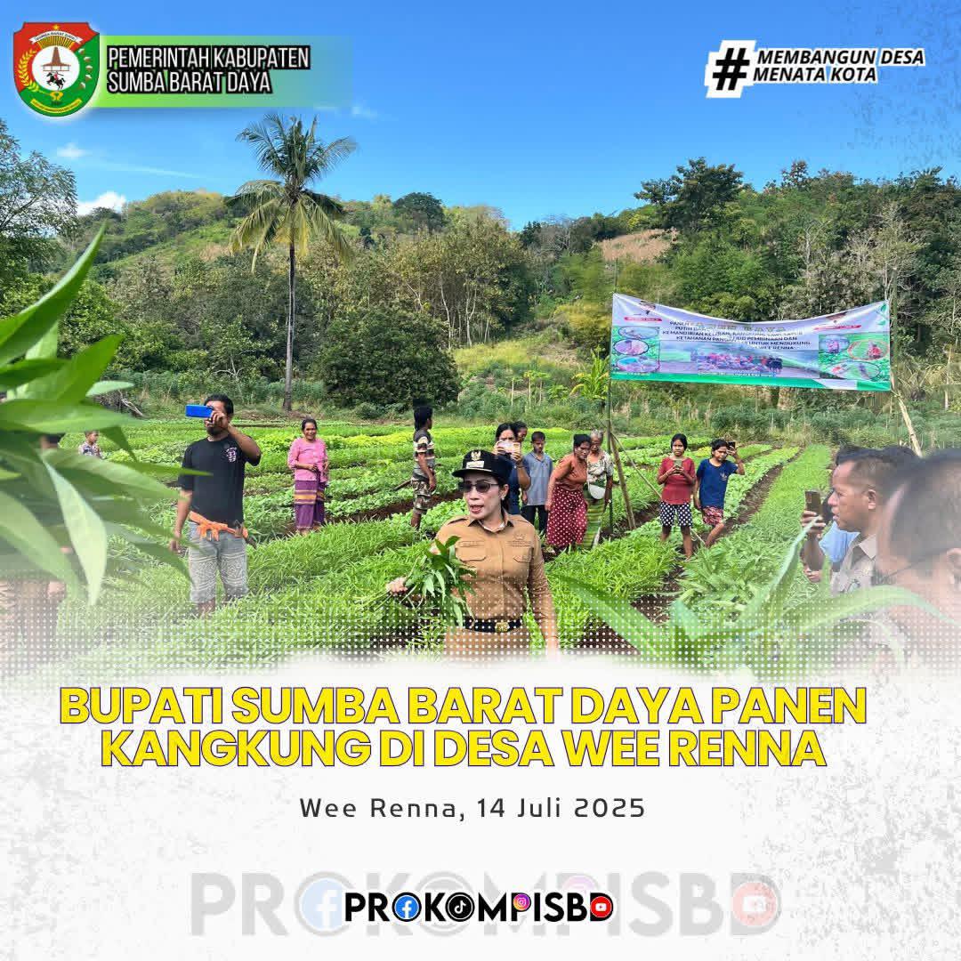 Bupati Sumba Barat Daya Ikut Panen Kangkung di Wee Renna Dukung Ketahanan Pangan Berbasis Komunitas