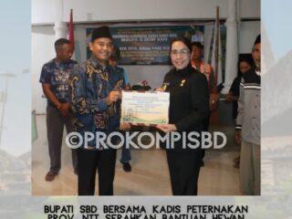 Bupati Sumba Barat Daya Serahkan Bantuan Hewan Kurban Menyambut Idul Adha 1446 H