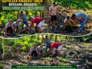 Polsek Amarasi Timur Tanam Pohon Buah dan Sayur, Dukung Ketahanan Pangan dan Penghijauan