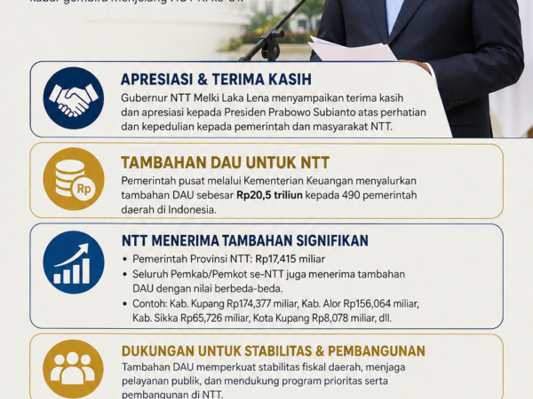 Pemprov NTT Dapat Tambahan DAU dari Pempus, Gubernur Ucapkan Terimakasih Kepada Presiden